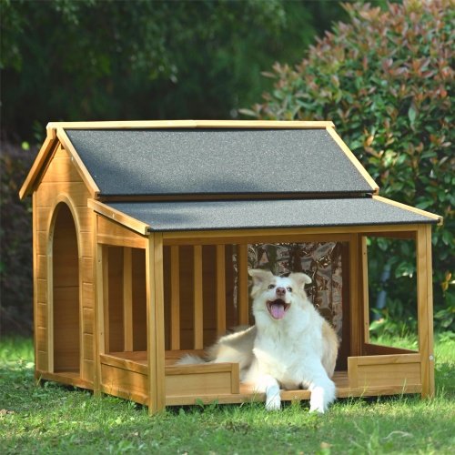 PuppaDog's Beautiful Large Dog House - Image 6