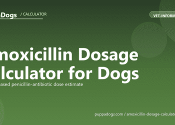 Amoxicillin Dosage Calculator for Dogs - free PuppaDogs calculator