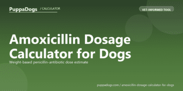 Amoxicillin Dosage Calculator for Dogs - free PuppaDogs calculator