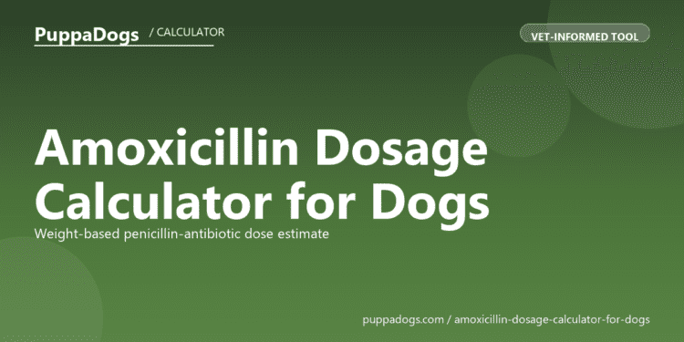 Amoxicillin Dosage Calculator for Dogs - free PuppaDogs calculator