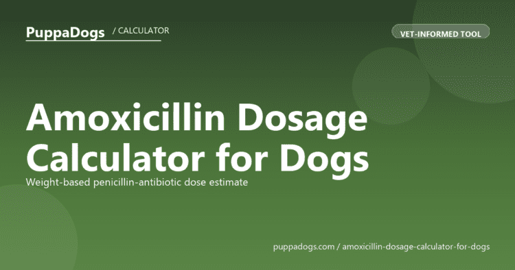 Amoxicillin Dosage Calculator for Dogs - free PuppaDogs calculator