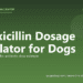Amoxicillin Dosage Calculator for Dogs - free PuppaDogs calculator