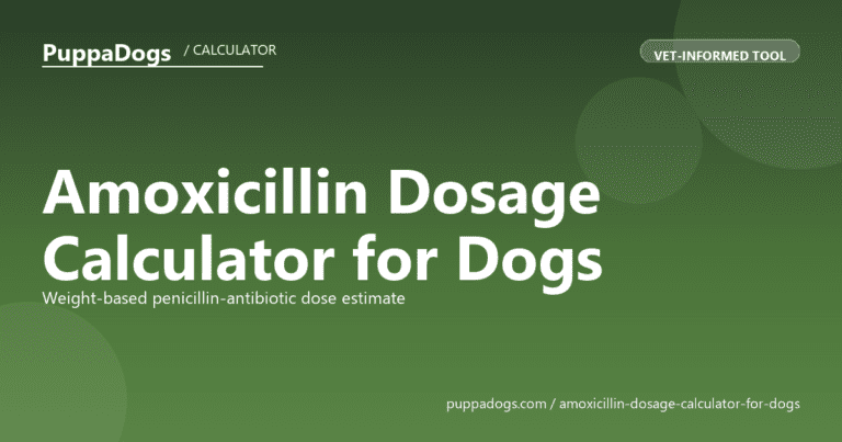 Amoxicillin Dosage Calculator for Dogs