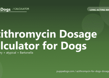 Azithromycin Dosage Calculator for Dogs - free PuppaDogs calculator