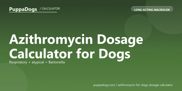 Azithromycin Dosage Calculator for Dogs - free PuppaDogs calculator