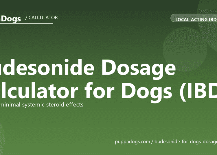 Budesonide Dosage Calculator for Dogs (IBD) - free PuppaDogs calculator