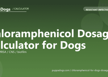 Chloramphenicol Dosage Calculator for Dogs - free PuppaDogs calculator