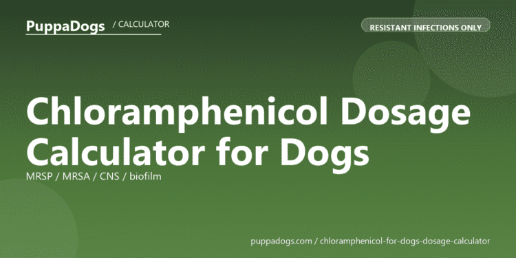Chloramphenicol Dosage Calculator for Dogs - free PuppaDogs calculator