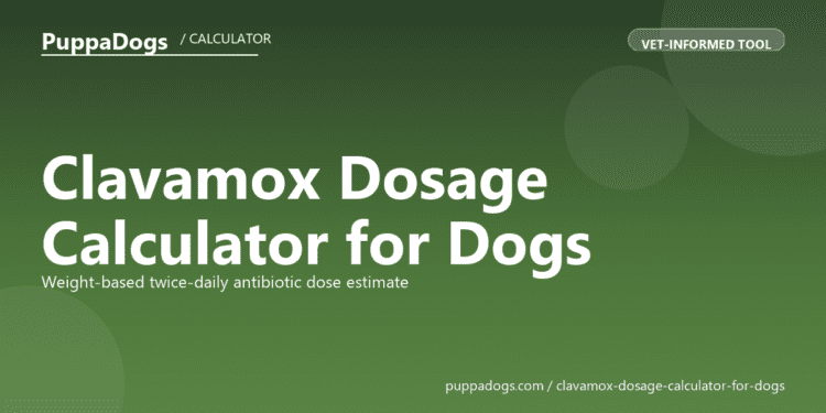 Clavamox Dosage Calculator for Dogs - free PuppaDogs calculator