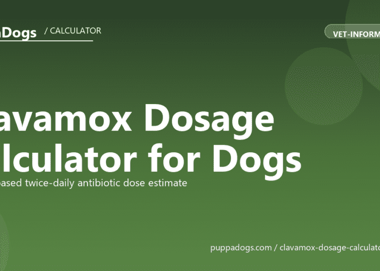 Clavamox Dosage Calculator for Dogs - free PuppaDogs calculator