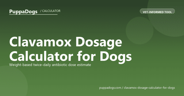 Clavamox Dosage Calculator for Dogs