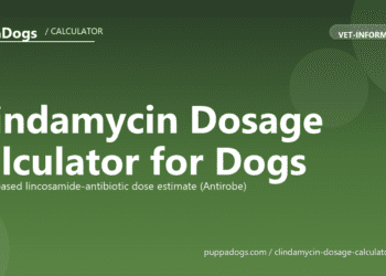 Clindamycin Dosage Calculator for Dogs - free PuppaDogs calculator