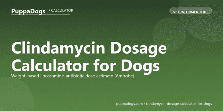 Clindamycin Dosage Calculator for Dogs - free PuppaDogs calculator