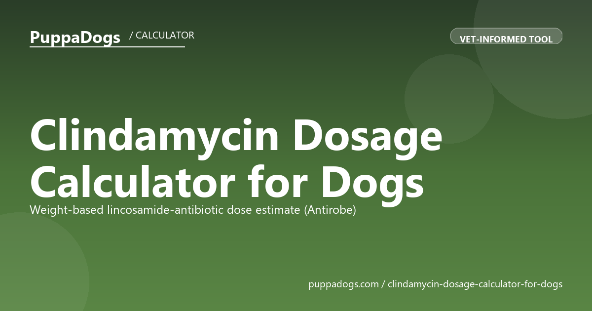 Clindamycin Dosage Calculator for Dogs
