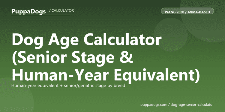 Dog Age Calculator (Senior Stage & Human-Year Equivalent) - free PuppaDogs calculator