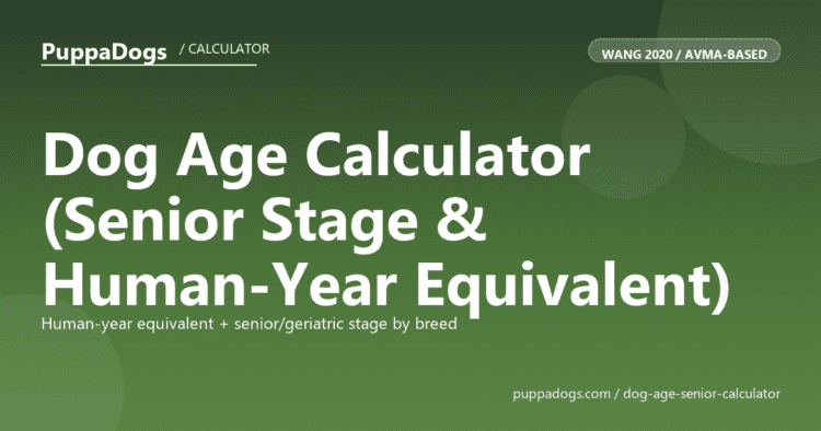 Dog Age Calculator (Senior Stage & Human-Year Equivalent) - free PuppaDogs calculator