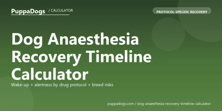 Dog Anaesthesia Recovery Timeline Calculator - free PuppaDogs calculator