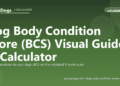 Dog Body Condition Score (BCS) Visual Guide & Calculator - free PuppaDogs calculator