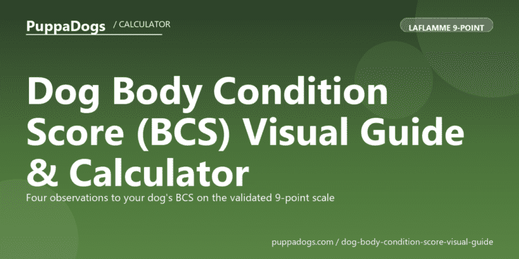 Dog Body Condition Score (BCS) Visual Guide & Calculator - free PuppaDogs calculator