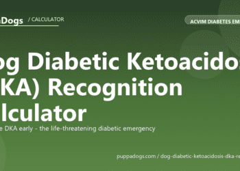 Dog Diabetic Ketoacidosis (DKA) Recognition Calculator - free PuppaDogs calculator