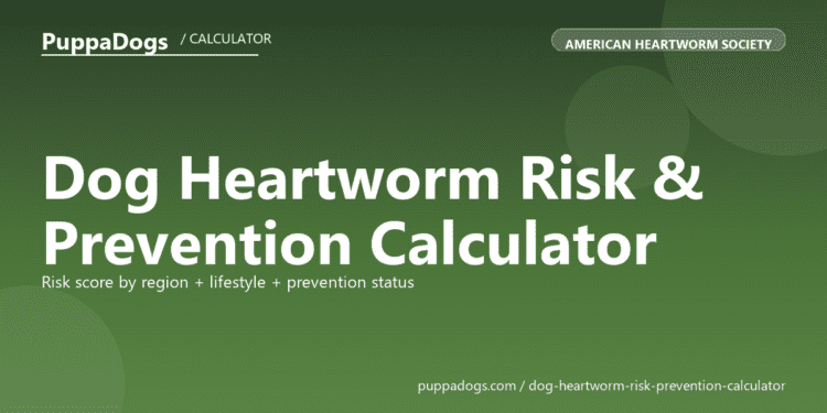 Dog Heartworm Risk & Prevention Calculator - free PuppaDogs calculator