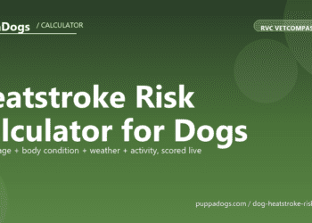Heatstroke Risk Calculator for Dogs - free PuppaDogs calculator