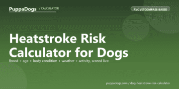 Heatstroke Risk Calculator for Dogs - free PuppaDogs calculator