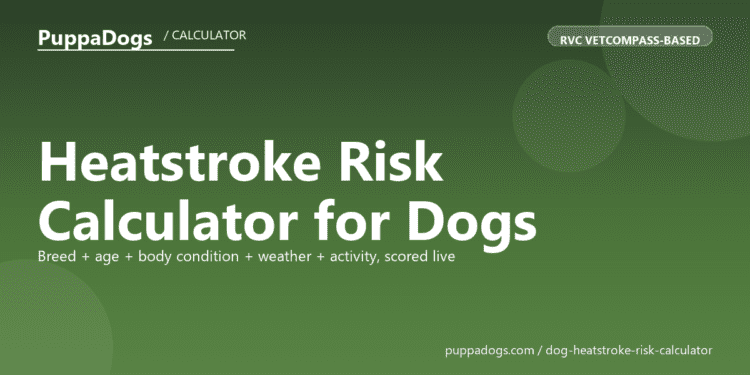 Heatstroke Risk Calculator for Dogs - free PuppaDogs calculator