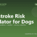Heatstroke Risk Calculator for Dogs - free PuppaDogs calculator