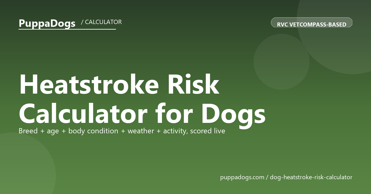 Heatstroke Risk Calculator for Dogs