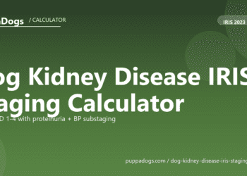 Dog Kidney Disease IRIS Staging Calculator - free PuppaDogs calculator