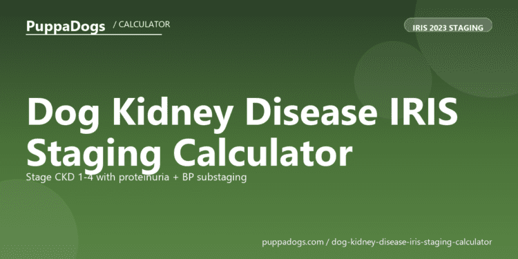 Dog Kidney Disease IRIS Staging Calculator - free PuppaDogs calculator