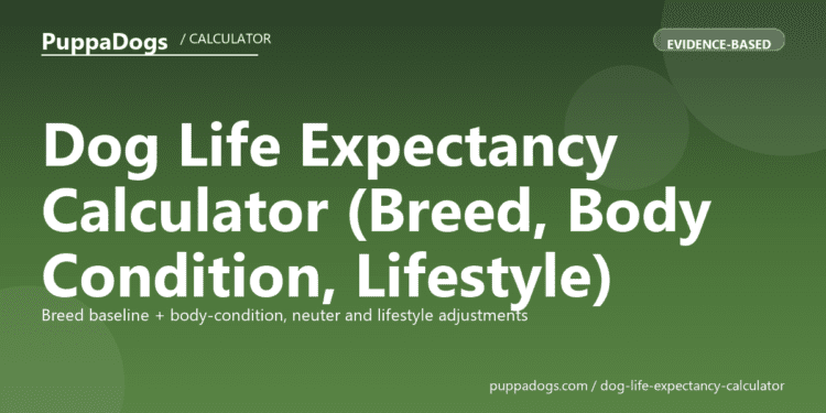 Dog Life Expectancy Calculator (Breed, Body Condition, Lifestyle) - free PuppaDogs calculator