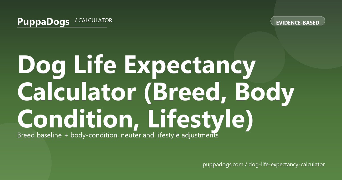 Dog Life Expectancy Calculator (Breed, Body Condition, Lifestyle)