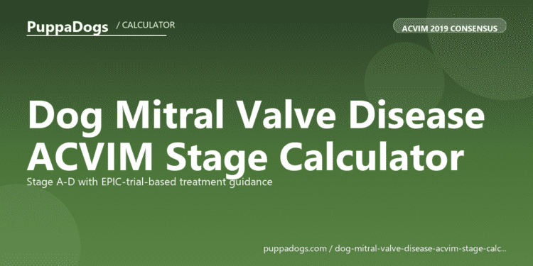 Dog Mitral Valve Disease ACVIM Stage Calculator - free PuppaDogs calculator