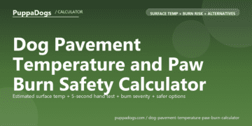Dog Pavement Temperature and Paw Burn Safety Calculator - free PuppaDogs calculator