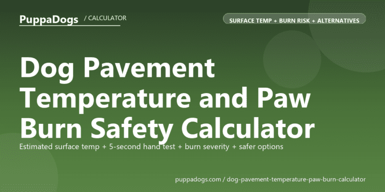 Dog Pavement Temperature and Paw Burn Safety Calculator - free PuppaDogs calculator