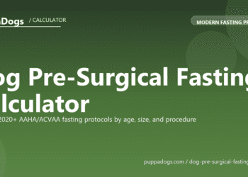 Dog Pre-Surgical Fasting Calculator - free PuppaDogs calculator
