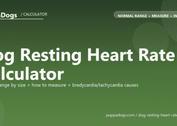 Dog Resting Heart Rate Calculator - free PuppaDogs calculator