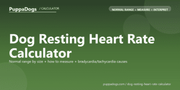 Dog Resting Heart Rate Calculator - free PuppaDogs calculator