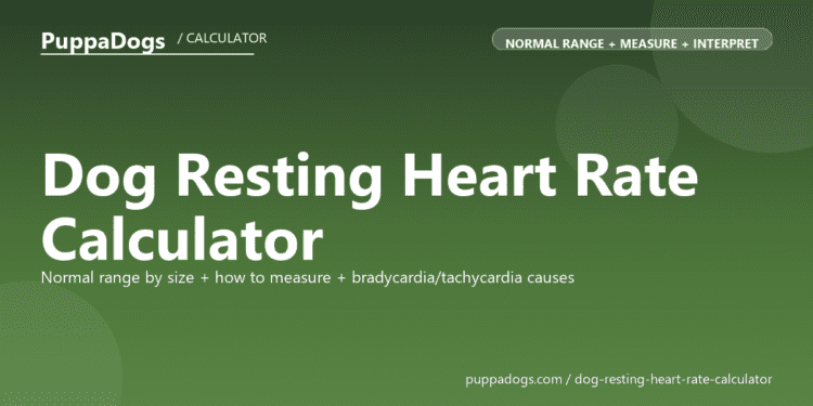 Dog Resting Heart Rate Calculator - free PuppaDogs calculator
