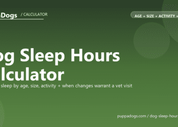 Dog Sleep Hours Calculator - free PuppaDogs calculator