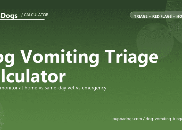 Dog Vomiting Triage Calculator - free PuppaDogs calculator