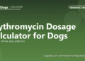 Erythromycin Dosage Calculator for Dogs - free PuppaDogs calculator