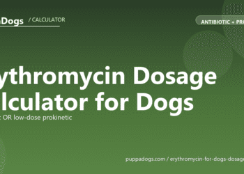 Erythromycin Dosage Calculator for Dogs - free PuppaDogs calculator