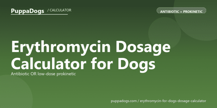 Erythromycin Dosage Calculator for Dogs - free PuppaDogs calculator