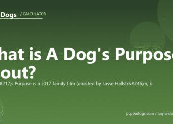 What is A Dog's Purpose about? - PuppaDogs FAQ