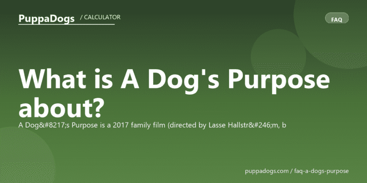What is A Dog's Purpose about? - PuppaDogs FAQ