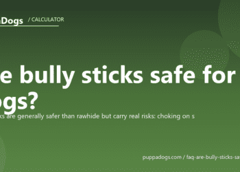 Are bully sticks safe for dogs? - PuppaDogs FAQ