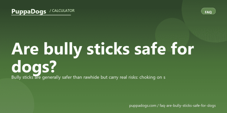 Are bully sticks safe for dogs? - PuppaDogs FAQ